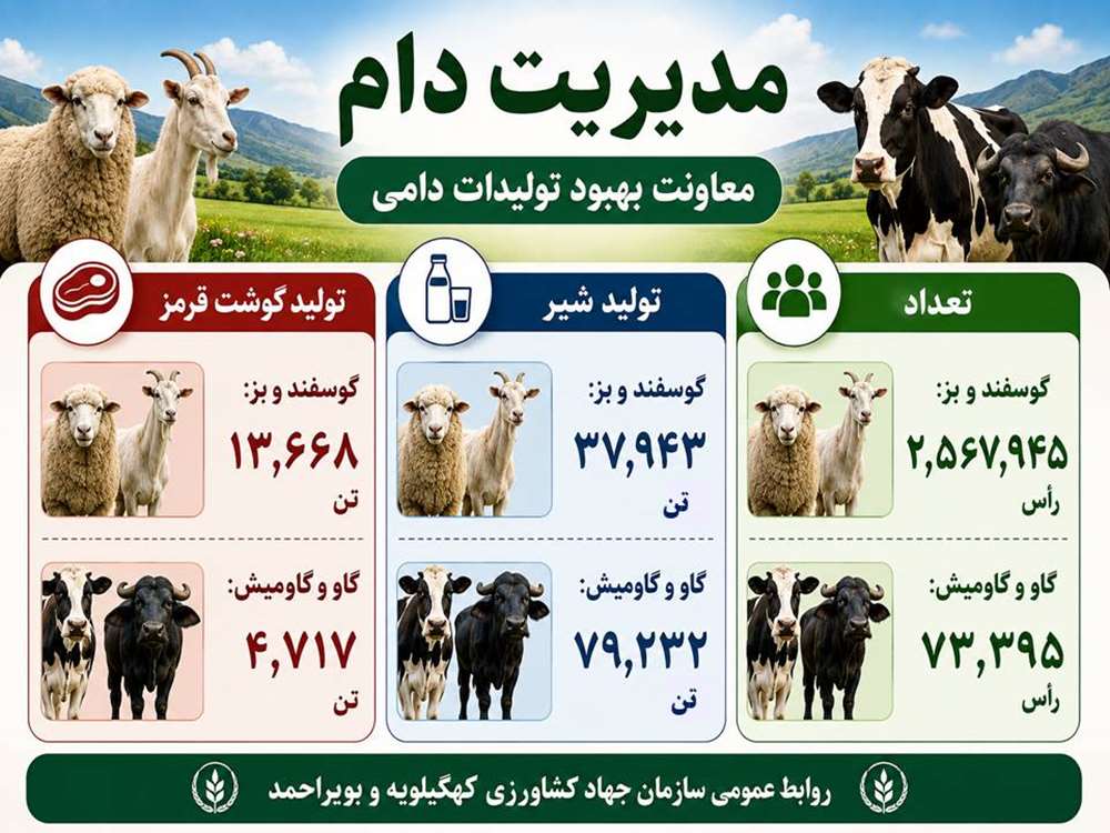 دام 1404 